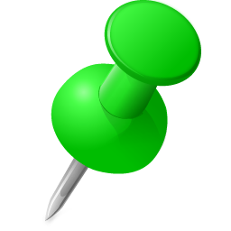 Pin