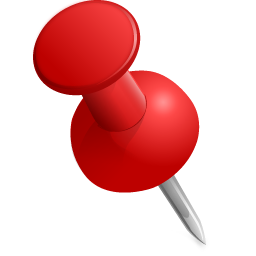 Pin